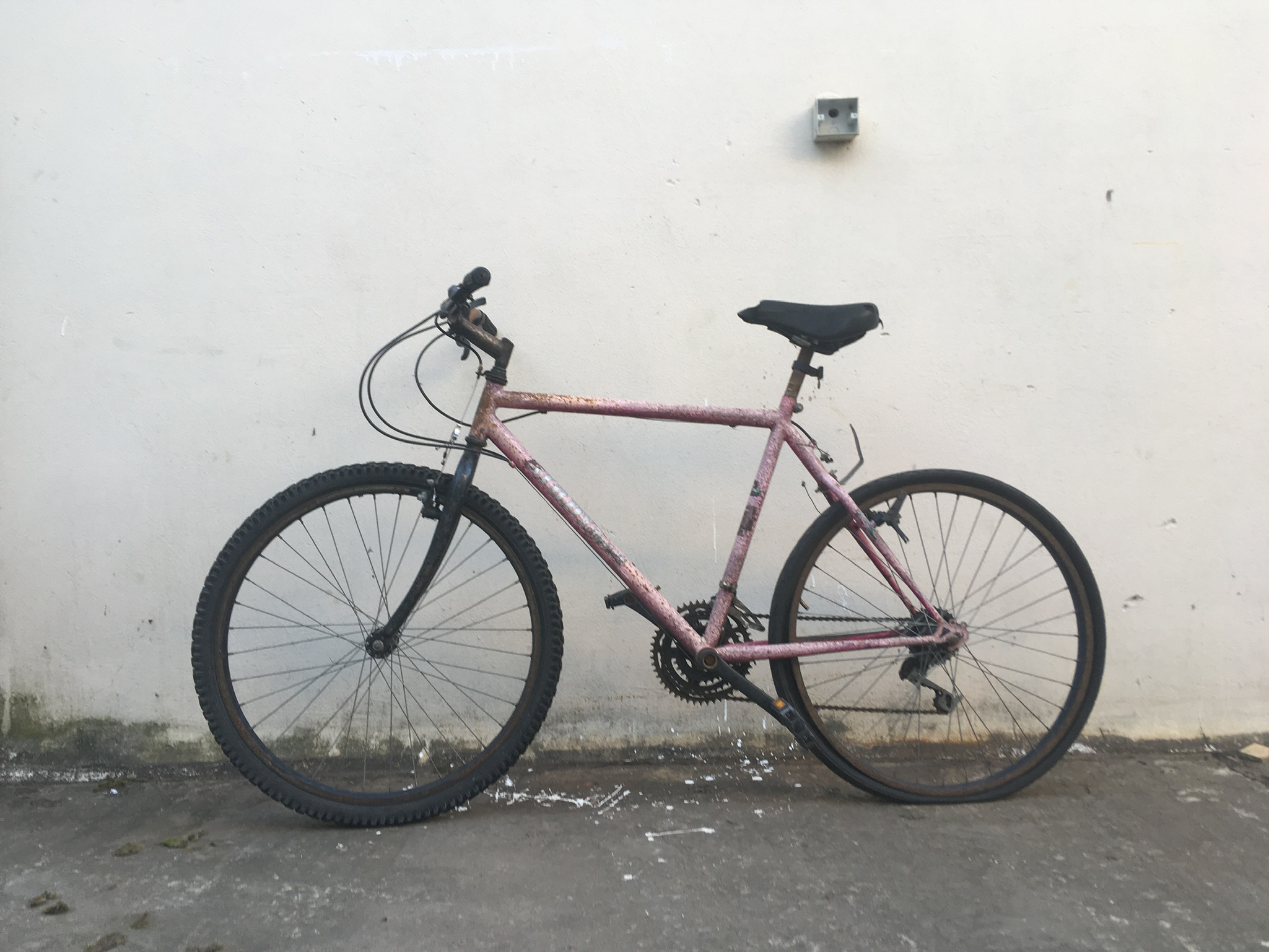 expericleta_donación_2019-03-23_(02)(nx)